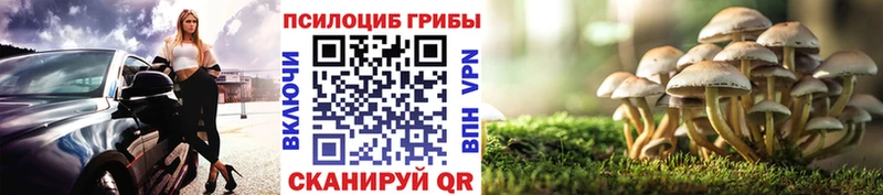 продажа наркотиков  Цивильск  Псилоцибиновые грибы GOLDEN TEACHER 